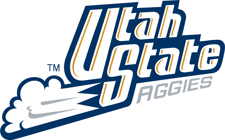 Utah State Aggies 1995-2001 Wordmark Logo DIY iron on transfer (heat transfer)